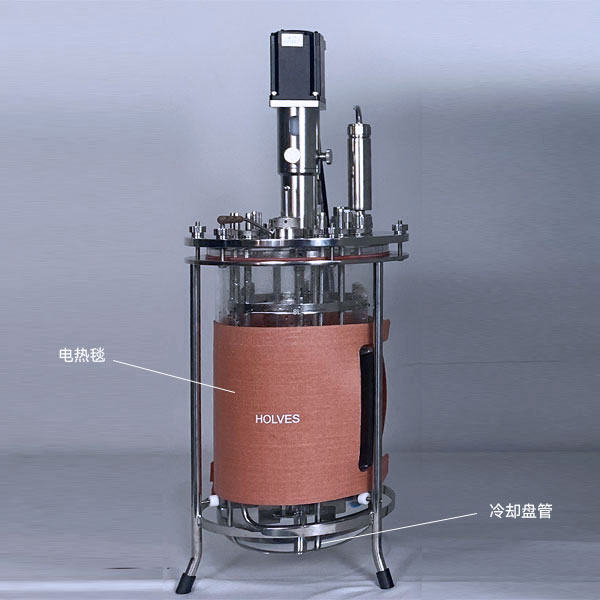 91视频网页版免费(HOLVES)实验91视频播放观看 91视频网页版免费(HOLVES)实验91视频播放观看