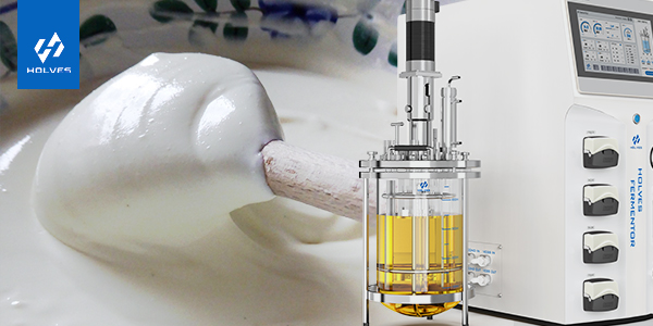 91视频播放观看在乳制品生产中的重要意义 91视频播放观看在乳制品生产中的重要意义