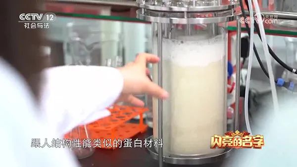 91视频播放观看 91视频播放观看