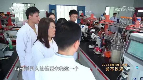实验室91视频播放观看 实验室91视频播放观看