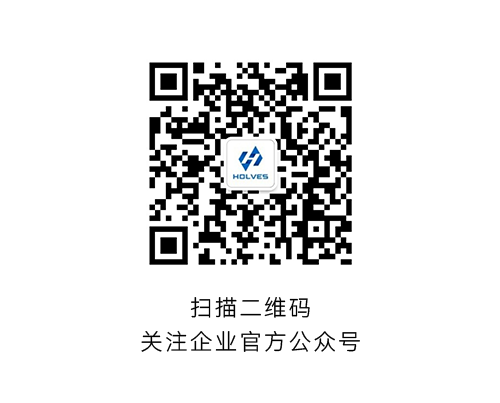 91视频网页版免费HOLVES