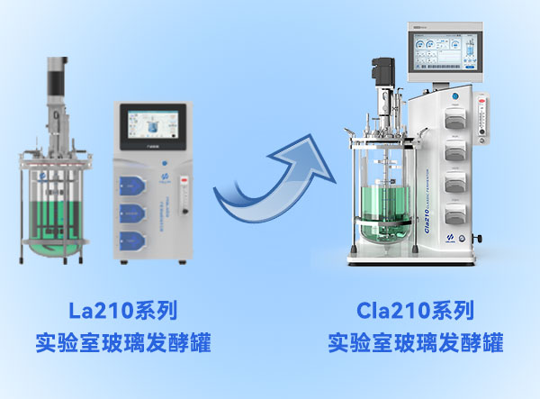 91视频网页版免费91视频播放观看升级 91视频网页版免费91视频播放观看升级