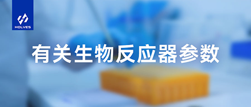成人网站91视频参数